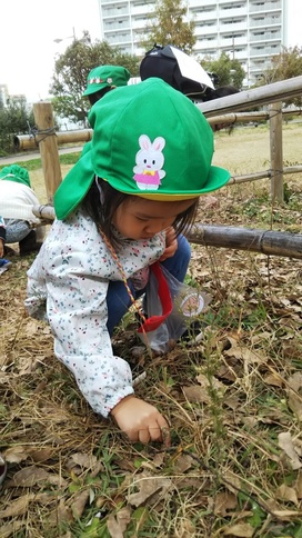 スマイルキッズの園の様子