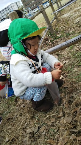 スマイルキッズの園の様子