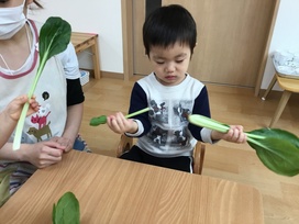 スマイルキッズの園の様子