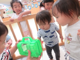 スマイルキッズの園の様子