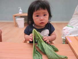 スマイルキッズの園の様子