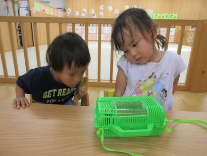 スマイルキッズの園の様子