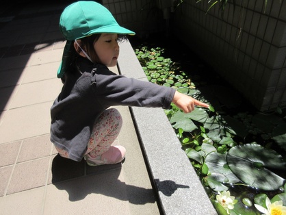 スマイルキッズの園の様子