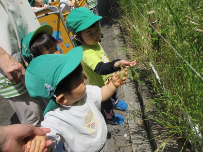 スマイルキッズの園の様子