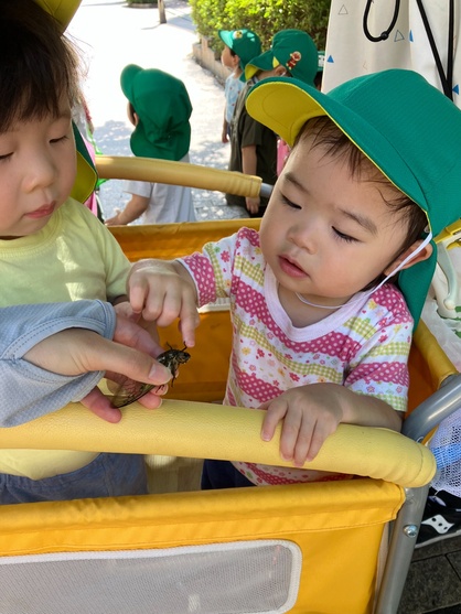 スマイルキッズの園の様子