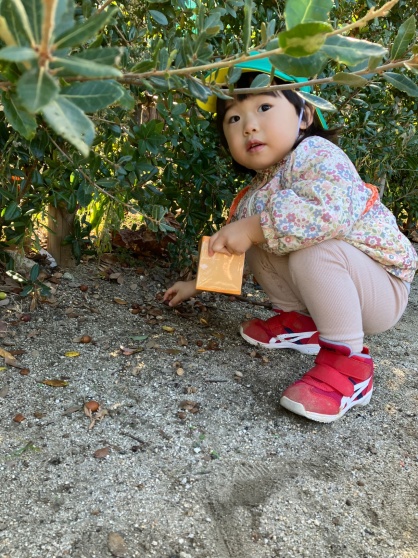 スマイルキッズの園の様子